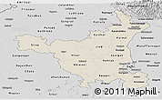 Shaded Relief Panoramic Map of Haryana, desaturated