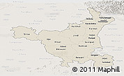 Shaded Relief Panoramic Map of Haryana, lighten