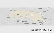 Shaded Relief Panoramic Map of Sonipat, desaturated