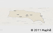 Shaded Relief Panoramic Map of Sonipat, lighten