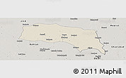 Shaded Relief Panoramic Map of Sonipat, semi-desaturated