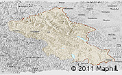Shaded Relief Panoramic Map of Ladakh (Leh), desaturated
