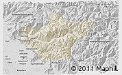 Shaded Relief 3D Map of Srinagar, desaturated