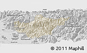 Shaded Relief Panoramic Map of Srinagar, desaturated