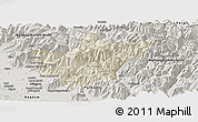 Shaded Relief Panoramic Map of Srinagar, semi-desaturated