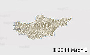 Shaded Relief Panoramic Map of Srinagar, single color outside