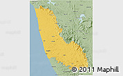 Savanna Style 3D Map of Dakshin Kannad