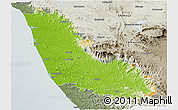 Physical Panoramic Map of Dakshin Kannad, semi-desaturated