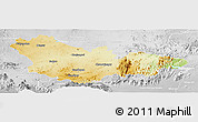 Physical Panoramic Map of Mysore, lighten, desaturated