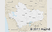 Classic Style 3D Map of Shimoga