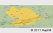 Savanna Style Panoramic Map of Indore