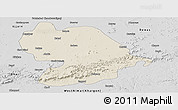 Shaded Relief Panoramic Map of Indore, desaturated