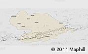 Shaded Relief Panoramic Map of Indore, lighten, desaturated