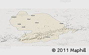 Shaded Relief Panoramic Map of Indore, lighten, semi-desaturated
