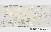 Shaded Relief Panoramic Map of Indore, semi-desaturated