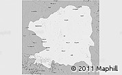 Gray 3D Map of Chandrapur