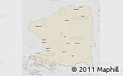 Shaded Relief 3D Map of Chandrapur, lighten, desaturated
