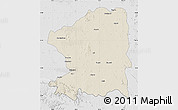 Shaded Relief Map of Chandrapur, lighten, desaturated