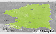 Physical Panoramic Map of Chandrapur, desaturated