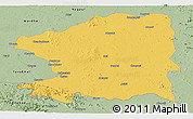 Savanna Style Panoramic Map of Chandrapur