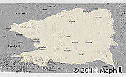Shaded Relief Panoramic Map of Chandrapur, darken, desaturated