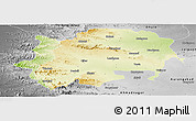 Physical Panoramic Map of Nashik, desaturated