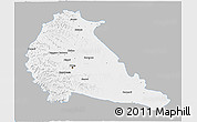 Gray 3D Map of Pune, single color outside