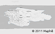 Gray Panoramic Map of Satara, single color outside
