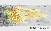Physical Panoramic Map of Satara, desaturated