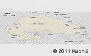 Shaded Relief Panoramic Map of Yavatmal, desaturated