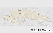Shaded Relief Panoramic Map of Yavatmal, lighten, desaturated
