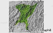 Satellite 3D Map of Senapati, lighten, desaturated