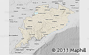 Shaded Relief 3D Map of Orissa, desaturated