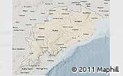 Shaded Relief 3D Map of Orissa, semi-desaturated