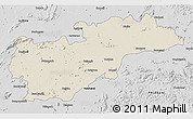 Shaded Relief 3D Map of Balangir, desaturated