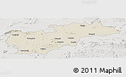 Shaded Relief Panoramic Map of Balangir, lighten, semi-desaturated