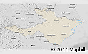 Shaded Relief 3D Map of Cuttack, desaturated