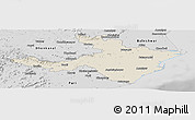 Shaded Relief Panoramic Map of Cuttack, desaturated