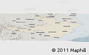 Shaded Relief Panoramic Map of Cuttack, semi-desaturated