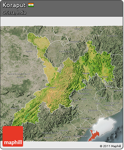 Satellite 3D Map of Koraput, semi-desaturated