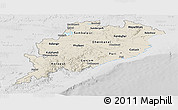 Shaded Relief Panoramic Map of Orissa, lighten, desaturated