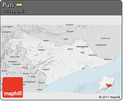 Silver Style 3D Map of Puri