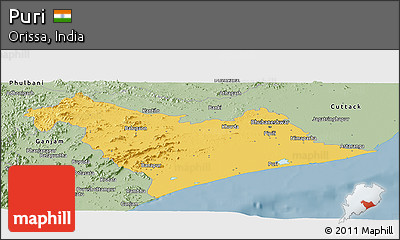 Savanna Style Panoramic Map of Puri