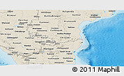 Political Shades Panoramic Map of Pondicherry, shaded relief outside