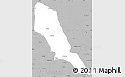 Gray Simple Map of Hoshiarpur