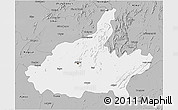 Gray 3D Map of Jaipur