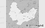 Gray Map of Sikar