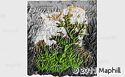 Satellite 3D Map of Sikkim, darken, desaturated