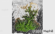 Satellite 3D Map of Sikkim, desaturated