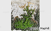 Satellite 3D Map of Sikkim, semi-desaturated